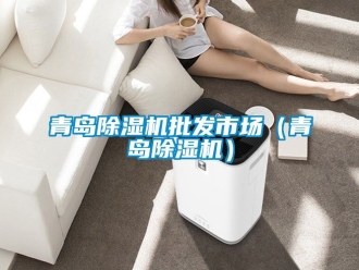 行業新聞青島除濕機批發市場（青島除濕機）